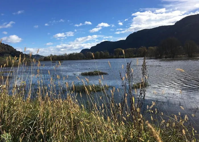 Apartment Simon Haus Kmb Seeappartement Am Ossiacher See, Hallenbad, Skiarena Gerlitzen Tschoran